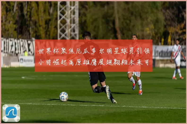 世界杯聚焦厄瓜多尔明星球员引领小将崛起高原雄鹰展翅翱翔未来可期