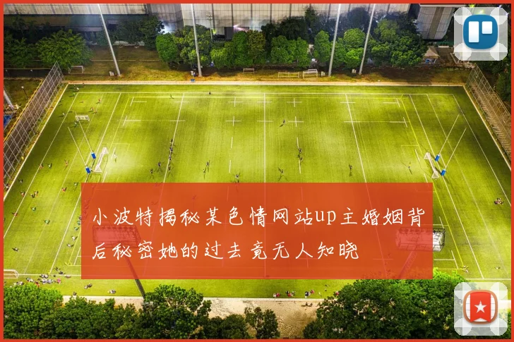 小波特揭秘某色情网站up主婚姻背后秘密她的过去竟无人知晓
