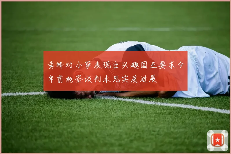 黄蜂对小萨表现出兴趣国王要求今年首轮签谈判未见实质进展