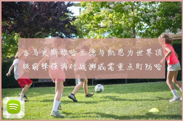 吉马良斯称哈兰德与凯恩为世界顶级前锋强调对战挪威需重点盯防哈兰德