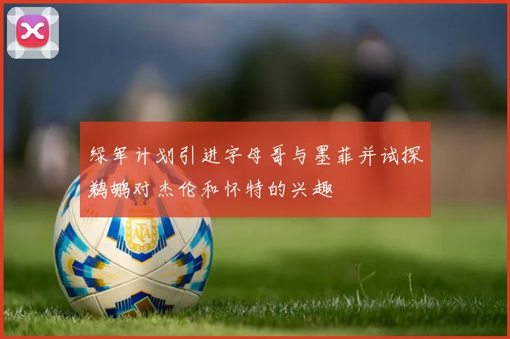 绿军计划引进字母哥与墨菲并试探鹈鹕对杰伦和怀特的兴趣